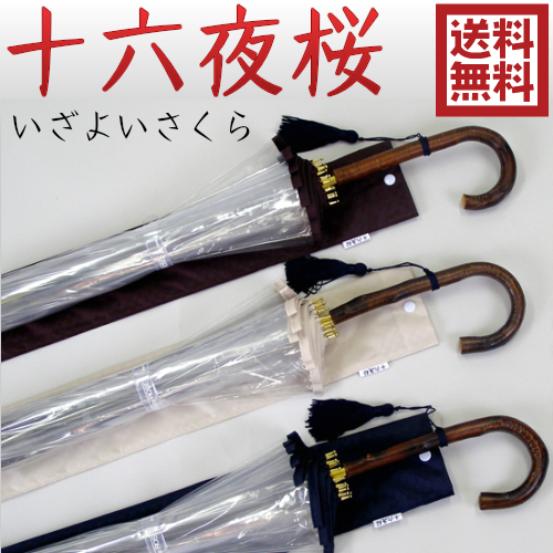 【BIGお買い物ラリー！ポイント最大+11%】十六夜桜（いざよいさくら）