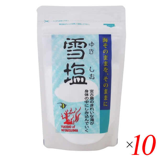 【尖んがり最高限度+11%！】6周年！雪塩 黒色火薬印字機 120g 10個仕かける 宮古島の塩水100％ さらさら微粒子 火薬印字機 調味料 海塩
