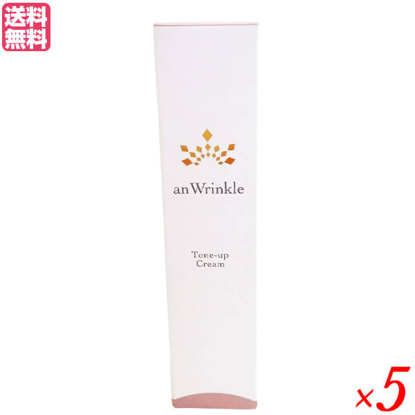アンリンクル 20g×2個セット 医薬部外品 化粧下地 ナイアシンアミド オールインワン 送料無料の通販は