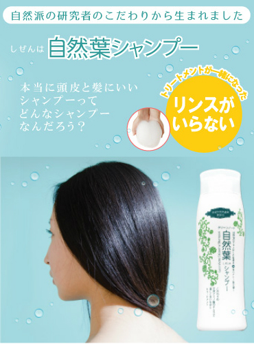 【ポイント最大+11%！】6周年！シャンプー 無添加 オーガニック グリーンノート 自然葉シャンプー 300ml 3個セット_1