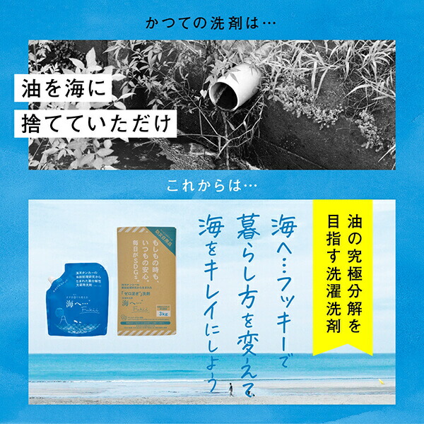 がんこ本舗 洗濯洗剤 海へ…Fukii 詰替BOX 3kg 千年ボトルセット_2