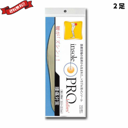インソールプロ 靴用中敷き 腰痛対策 レディス 女性用 ２セットの通販はau Pay マーケット Okaimonoda Net