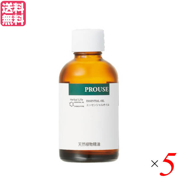 生活の木 サンダルウッド・インド精油 白檀 50ml ５個セット 精油 オイル アロマオイル 送料無料