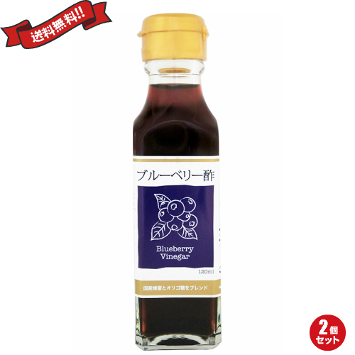 お酢 ドリンク 飲む ブルーベリー酢 120ml TAC21 2個セット