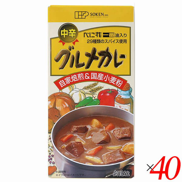 【ポイント最大+7%】超超祭！カレー粉 カレールー カレールウ 創健社 グルメカレー（中辛） 115g 40個セット 送料無料