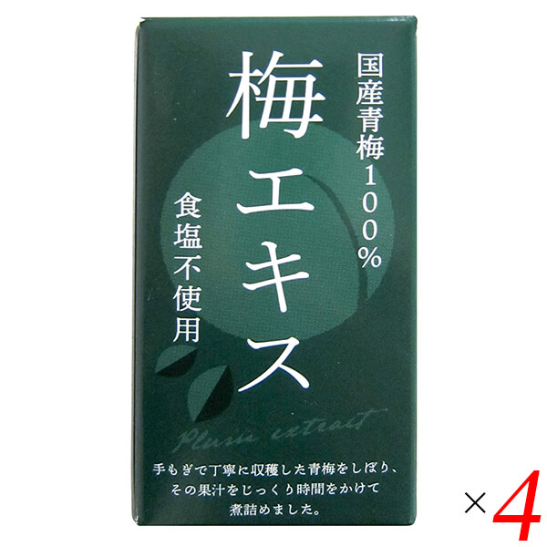 【当店5%+日曜5%還元中！】梅 青梅 ペースト 特別栽培梅エキス 王隠堂 65g 4個セット