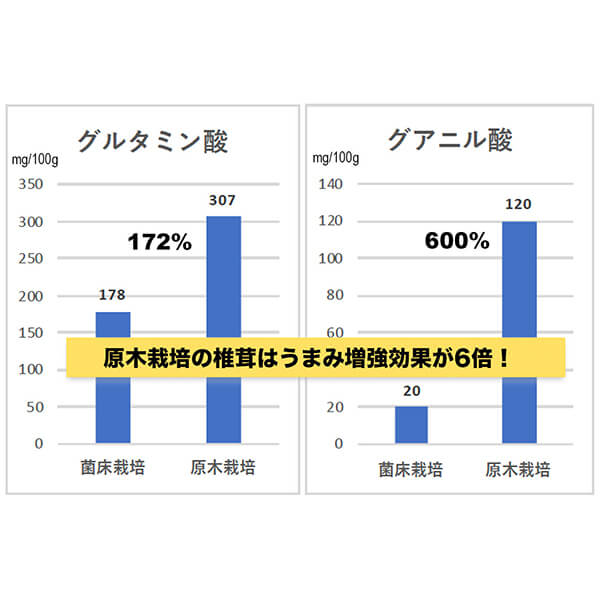 【ポイント最大+7%】超超祭！杉本商店 九州産本格椎茸粉 40g 12個セット シイタケ パウダー 粉末_1