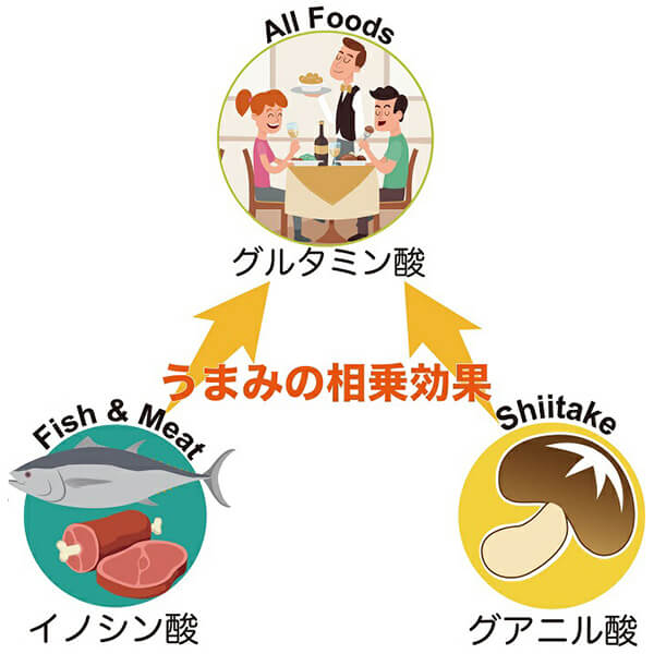【ポイント超超祭！最大+7%！】杉本商店 九州産本格椎茸粉 40g 20個セット シイタケ パウダー 粉末