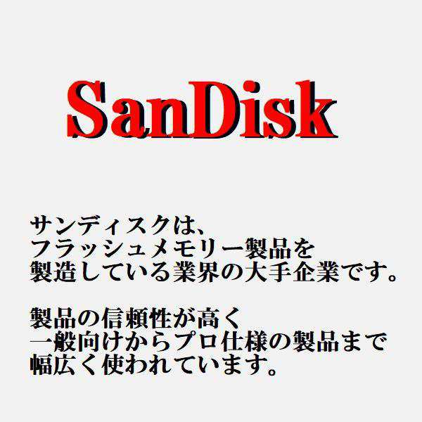 SanDisk microSDXCカード 128GB 高耐久性 UHSスピードクラス3 SDSQQNR-128G-GN6IA ネコポス送料無料