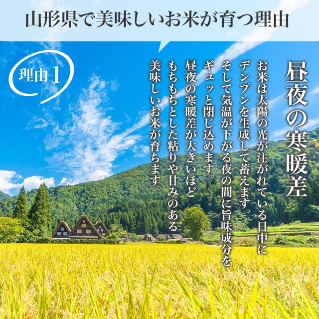 米 令和７年産 極上 コシヒカリ 20kg (5kg×4) 山形県産 こしひかり 精米 白米 産地直送 受注精米 卵かけご飯 ライス ご飯 丼 おにぎり ご飯のお供 米 炊き込みご飯 東北 炊飯 冷めても おいしい 艶 食味ランキング_2