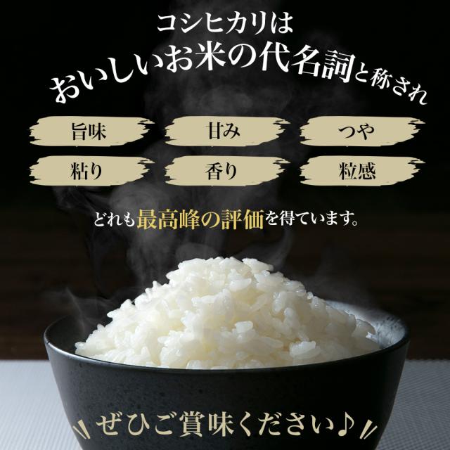 米 令和７年産 極上 コシヒカリ 20kg (5kg×4) 山形県産 こしひかり 精米 白米 産地直送 受注精米 卵かけご飯 ライス ご飯 丼 おにぎり ご飯のお供 米 炊き込みご飯 東北 炊飯 冷めても おいしい 艶 食味ランキング_5