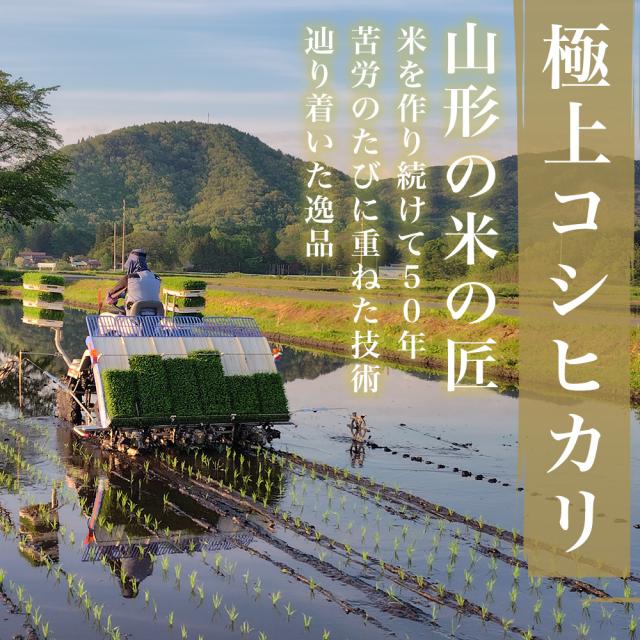米 令和７年産 極上 コシヒカリ 20kg (5kg×4) 山形県産 こしひかり 精米 白米 産地直送 受注精米 卵かけご飯 ライス ご飯 丼 おにぎり ご飯のお供 米 炊き込みご飯 東北 炊飯 冷めても おいしい 艶 食味ランキング_7