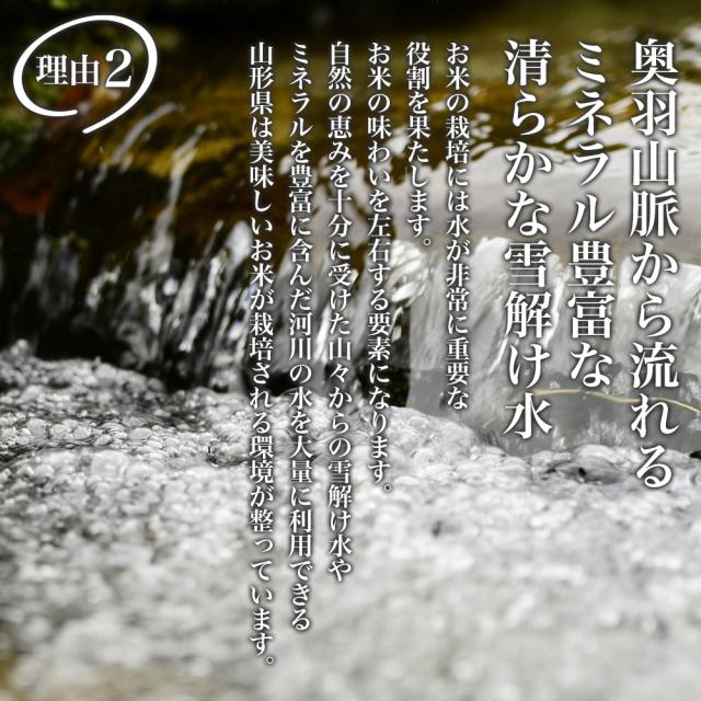 米 10kg (5kg×2) 令和７年産 特A 山形県産 極上 雪若丸 精米 白米 産地直送_3