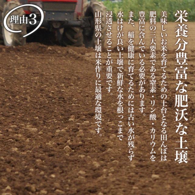 米 10kg (5kg×2) 令和７年産 特A 山形県産 極上 雪若丸 精米 白米 産地直送_4