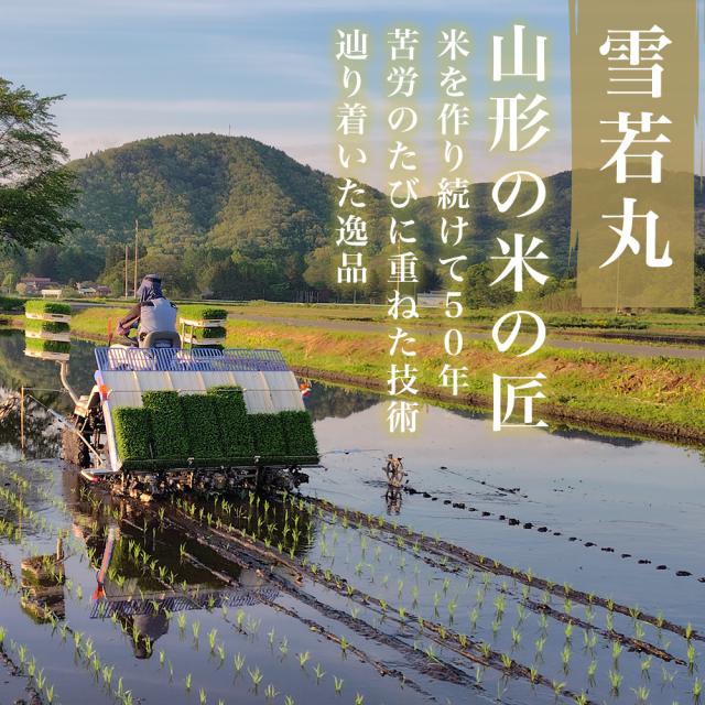 米 10kg (5kg×2) 令和７年産 特A 山形県産 極上 雪若丸 精米 白米 産地直送_8