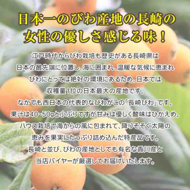 送料無料 長崎びわ 香川びわ 長崎県 長崎県産 香川県 香川県産 茂木 びわ ビワ 枇杷 L 2l 500g 前後 国産 秀品 ギフト 化粧箱入り 訳ありの通販はau Pay マーケット くだもの観覧車