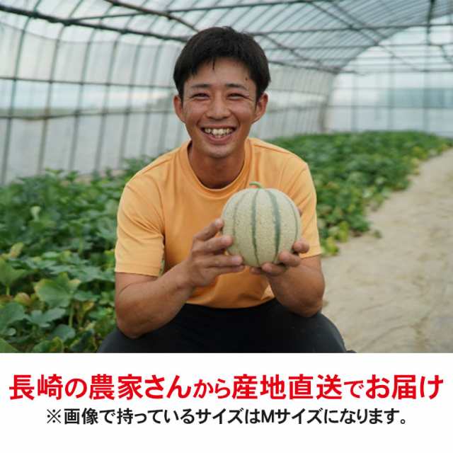 送料無料 赤肉メロン マルセイユメロン メロン 島原風香 長崎県 長崎 産地直送 メロン マスクメロン メロン L 2l 4玉 5玉 メロン の通販はau Pay マーケット くだもの観覧車