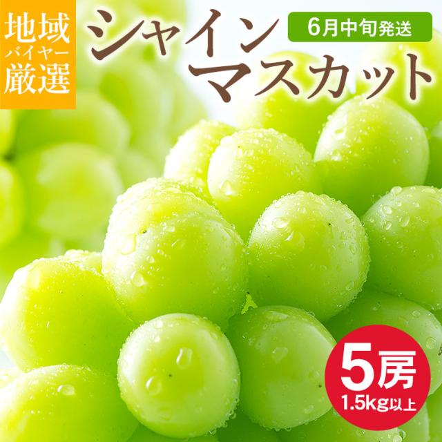 地域厳選 シャインマスカット 訳アリ 5房 約 1.5kg 以上 ハウス栽培 山梨県 岡山県 長野県 香川県 ご家庭用 マスカット ぶどう ギフト お中元 暑中見舞い 訳あり 敬老の日 ギフト プレゼント