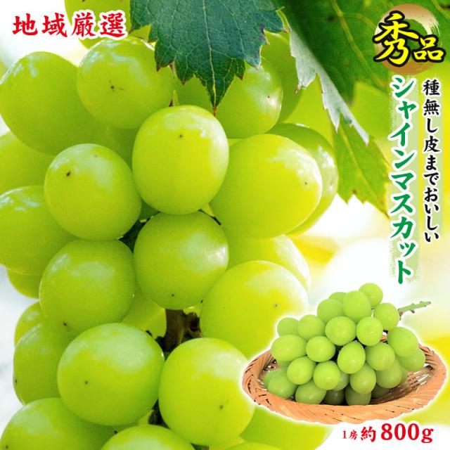 送料無料 地域厳選 シャインマスカット 秀品 1房 約 800g ご家庭用 マスカット ぶどう ギフト お中元 暑中見舞い 訳あり 敬老の日 ギフト プレゼント
