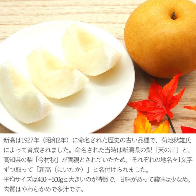 ミニバラ 豊水 大玉〜中玉 10キロ 豊水梨 大玉 10kg 14個入 6Lから7L相当 2025年最新】豊水梨