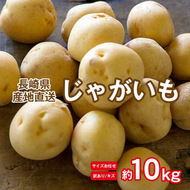 au　テジマ　春じゃが　10kg　長崎県産　じゃの通販はau　送料無料　馬鈴薯　ながさき黄金　メークイン　ニシユタカ　訳あり　くだもの観覧車　約　マーケット　産地直送　じゃがいも　PAY　さんじゅう丸　PAY　マーケット－通販サイト