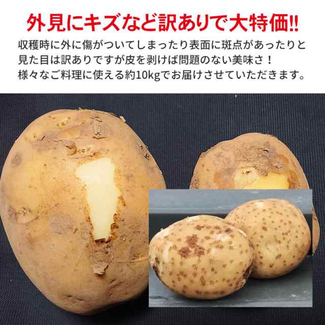 長崎県産 新じゃがいも にしゆたか B品 箱込み10キロ