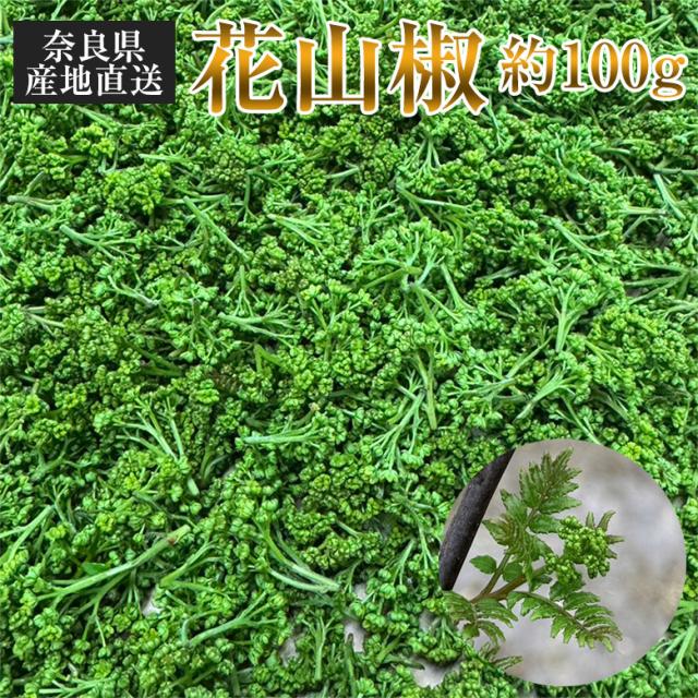 送料無料 花山椒 約100g 産地直送 奈良県産 奈良県 奈良 サンショウ さんしょう 国産 希少 高級料亭 季節商品 ご自宅用 薬味 香り スパイス くだもの フルーツ ギフト 貴重