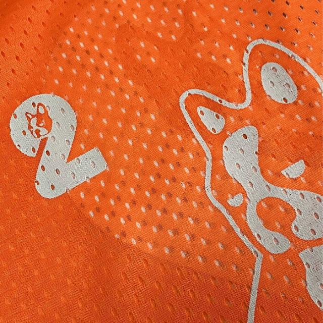 Claudio_Pandiani/クラウディオパンディアーニ オールジャンル アクセサリー [cp25d57-132 チーム分け道着 ビブス10枚セット(No.2-11)] ビブス【ネコポス不可】