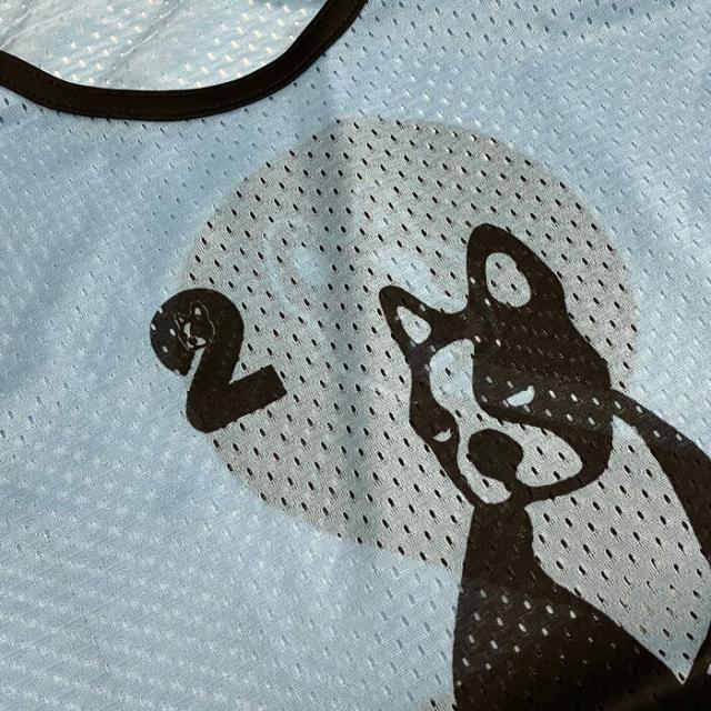 Claudio_Pandiani/クラウディオパンディアーニ オールジャンル アクセサリー [cp25d57-49 チーム分け道着 ビブス10枚セット(No.2-11)] ビブス【ネコポス不可】