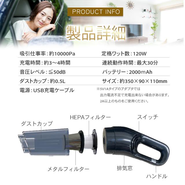 グランディ、スティーム、キャンプ、アウトドア、クリーナー、大掃除グッズ、カー用品 c4480_3.jpg