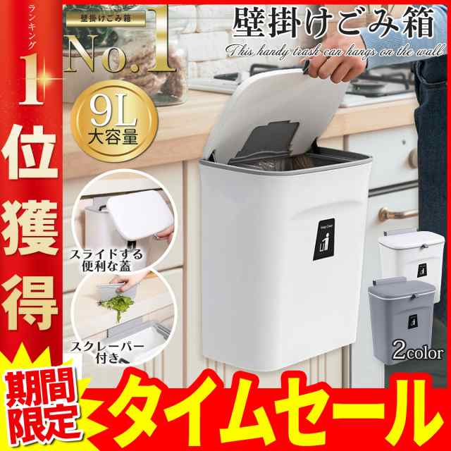 壁掛けゴミ箱 壁掛けごみ箱 蓋付き ふた付き キッチン 分別 収納 9L大