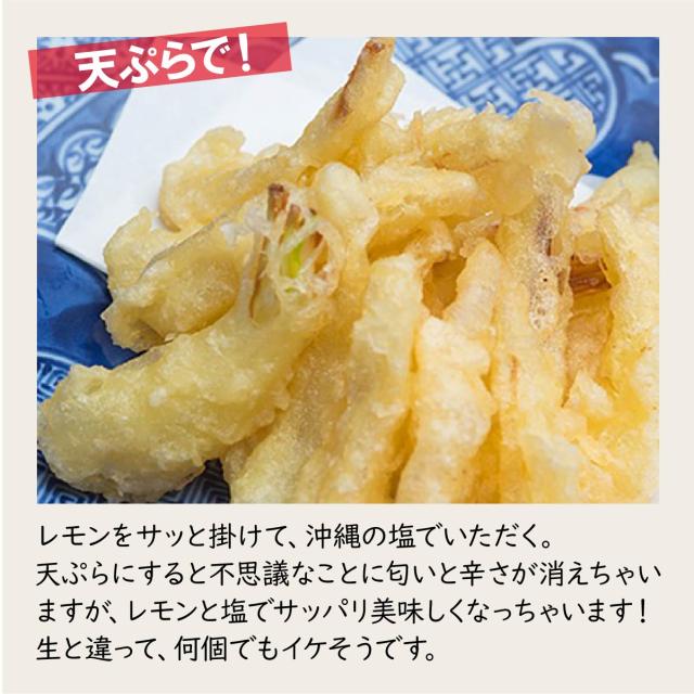 ★ご注文順に出荷中★ 沖縄県産 島らっきょう 4kg（500gｘ8束） 沖縄 島ラッキョウ_4