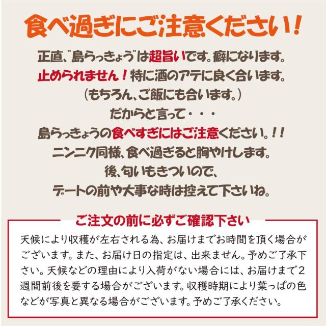 ★ご注文順に出荷中★ 沖縄県産 島らっきょう 4kg（500gｘ8束） 沖縄 島ラッキョウ_5