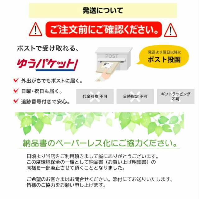 保存料 食品添加物 無添加 ドライフルーツ 形不揃い ドライマンゴー 送料無料 500g(100g x 5袋）セブ島産 マンゴー スイーツ メール便  訳の通販はau PAY マーケット ヤマオカインターナショナル株式会社 au PAY マーケット－通販サイト