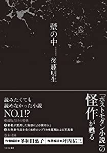 壁の中【新装愛蔵版】(中古品)の通販は