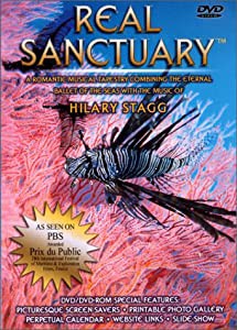 Hilary Stagg: Real Sanctuary [DVD](中古品)の通販は