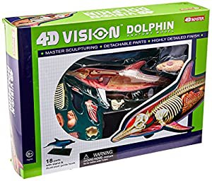 Famemaster 4D-Vision Dolphin Anatomy Model by TEDCO(中古品)の通販は