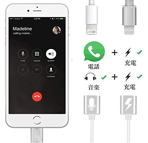 ライトニング 変換 イヤホン iPhone 5/6/7/8/X/XS/XR plus iPad/mini