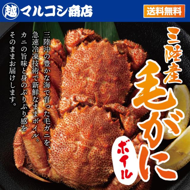 送料無料 岩手県北三陸産 ボイル 毛ガニ 約350g×2 水揚げ後すぐに加工 国産 毛がに 毛蟹_1