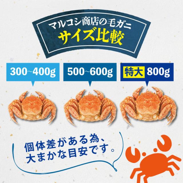 送料無料 岩手県北三陸産 ボイル 毛ガニ 約350g×2 水揚げ後すぐに加工 国産 毛がに 毛蟹_7