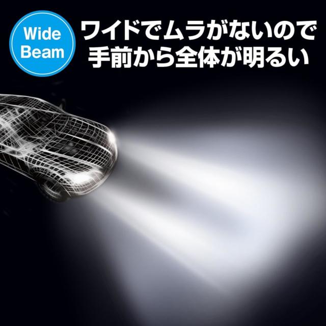 PIAA ヘッド&フォグ用LEDバルブ LEH220_5