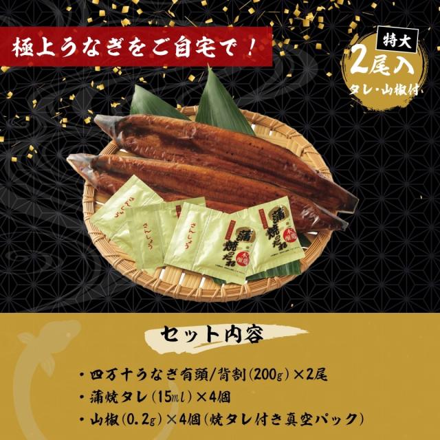 〔ギフト〕炭焼うな富士 四万十うなぎ蒲焼 特大2尾セット うなぎギフト 国産うなぎ 長蒲焼2尾セット｜うなぎ通販なら大五うなぎ