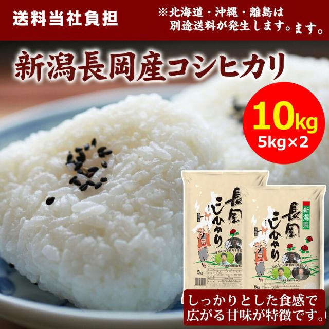 精米 コシヒカリ 10kg×2袋