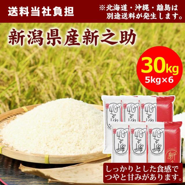【令和7年産】田中米穀 新潟県産 新之助 30kg(5kg×6袋) 米 精米 お米