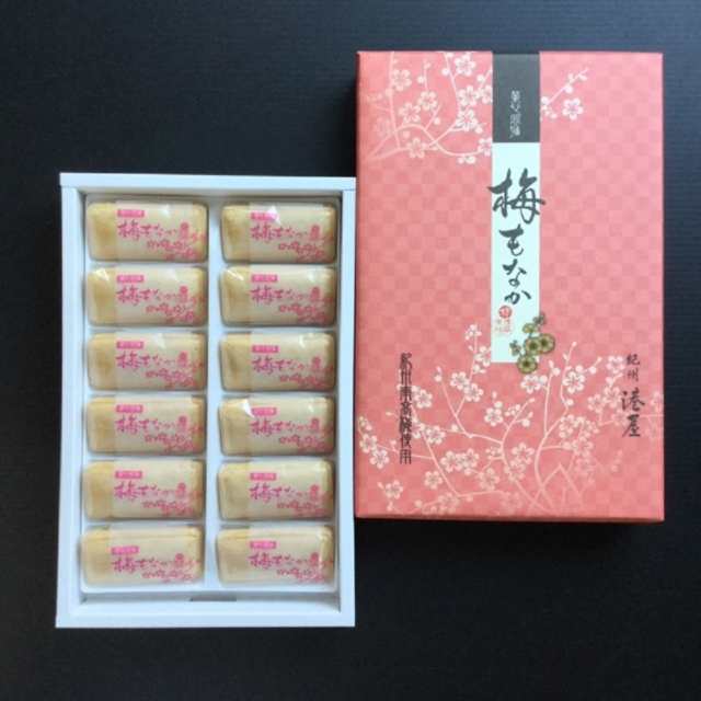 センチの通販 和菓子 最中 和歌山 紀州 お茶請け 南紀白浜 銘菓 港屋