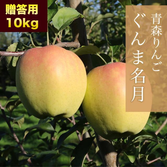 RED APPLE 【青森直送 11月上旬より順次発送】 ぐんま名月 贈答用 10kg りんご 果物 旬 フルーツ 産地直送 ギフト