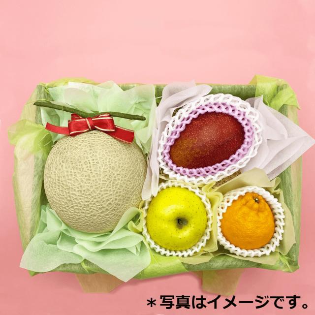 Sou.f スタンダード(季節限定) 旬のフルーツ詰め合わせ 果物 フルーツ 詰め合わせ 旬 食べ比べ 厳選 おまかせ 季節の通販は 7,956円