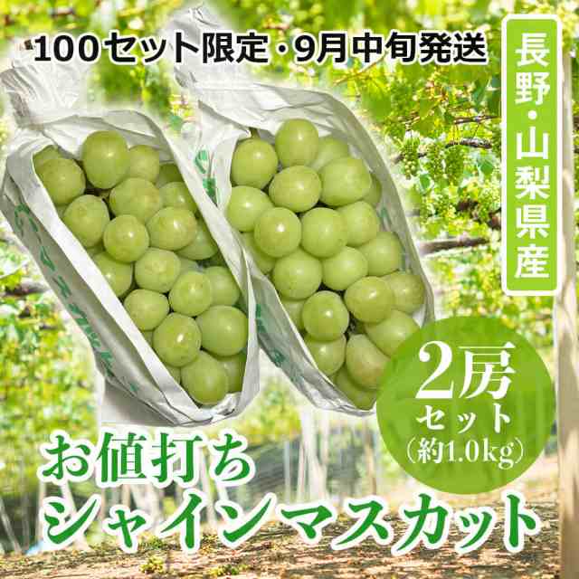 100セット限定・ 9月中旬発送 お値打ち品 シャインマスカット 長野県