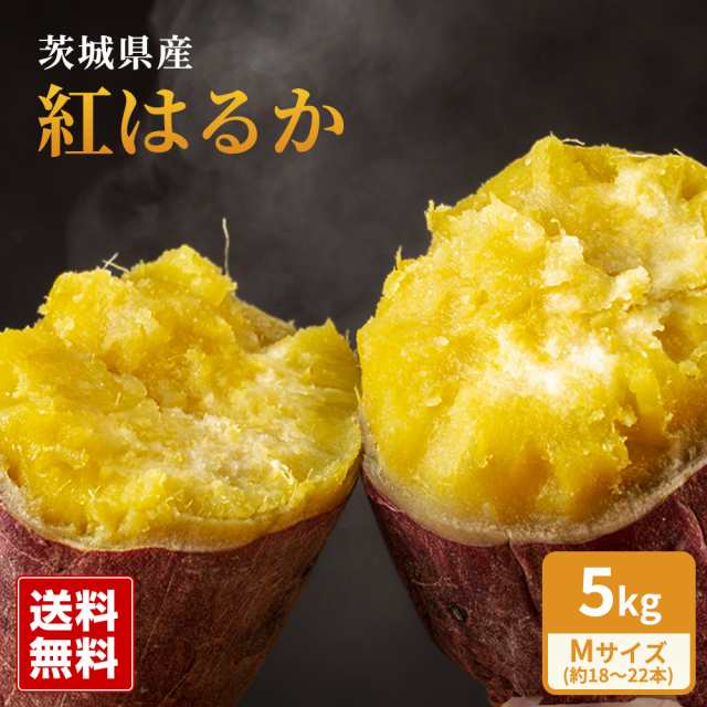 新物 紅はるか 甘いさつまいも 茨城県産 約5kg Mサイズ 約18〜22本 丸