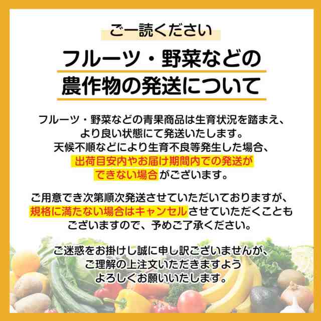 黄金の果実 木熟メロゴールド あふれる果汁 感動の柑橘 アメリカ産 大